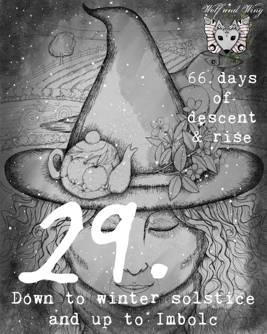 Day 29. Ascending to Imbolc. Deep root dandelion song