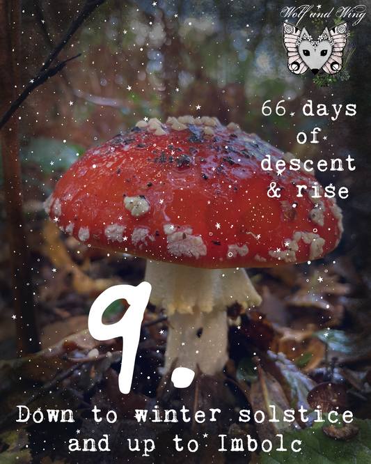 Day 9. Descent Advent.