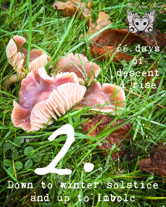 Day 2. Advent descent: I am nature
