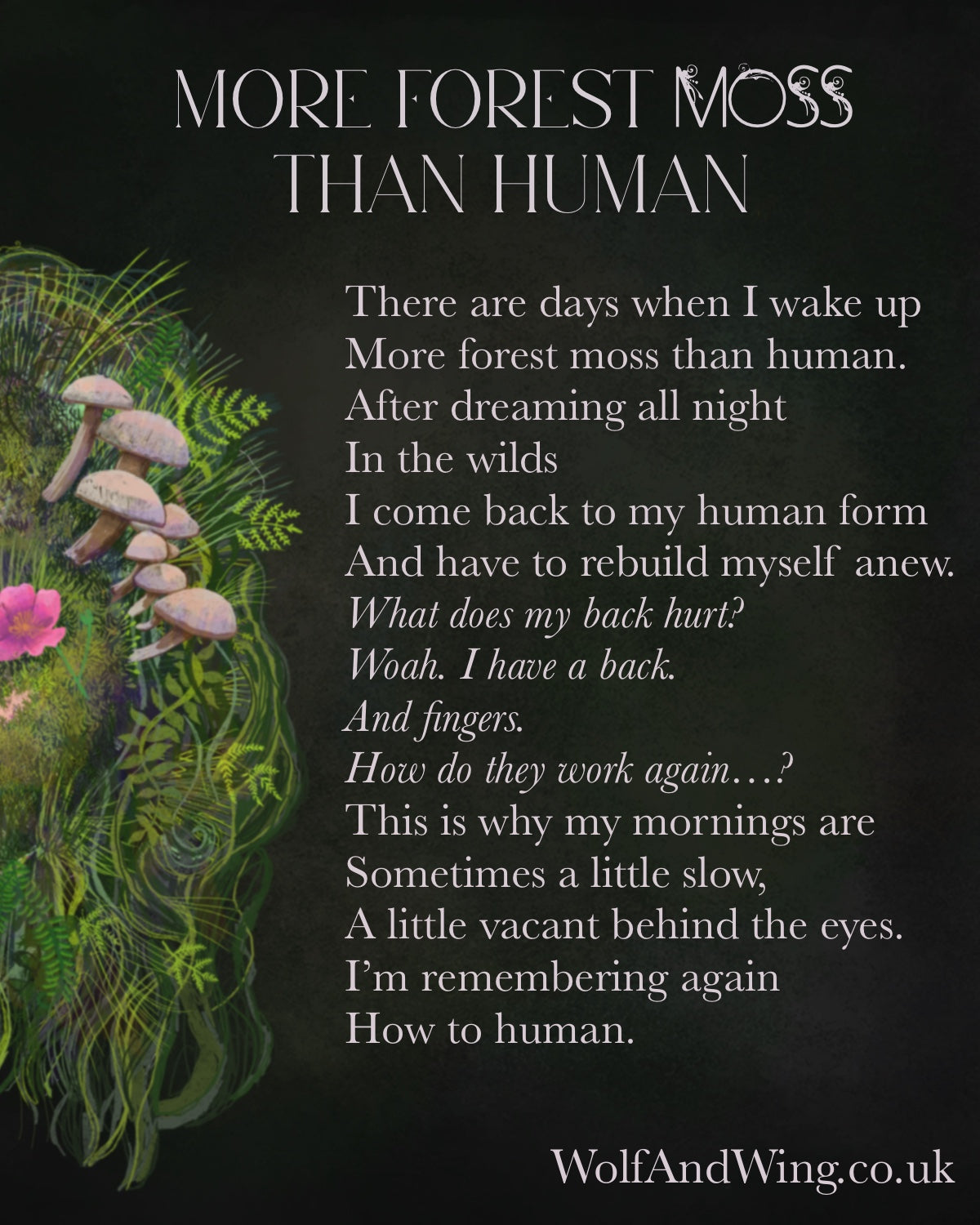Support ‘More Forest Moss than Human’ with a donation