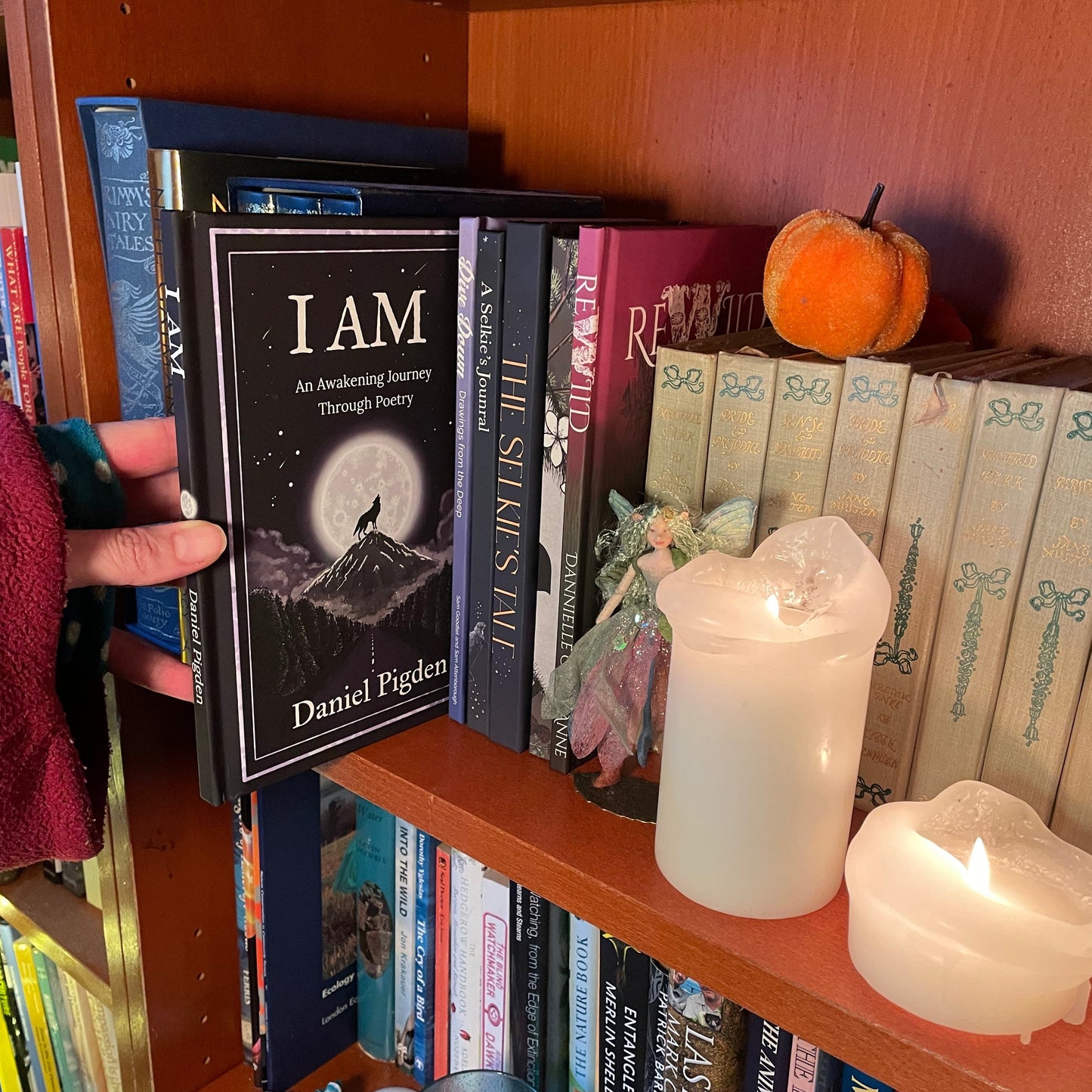I AM: An Awakening Journey Through Poetry by Daniel Pigden - hardback