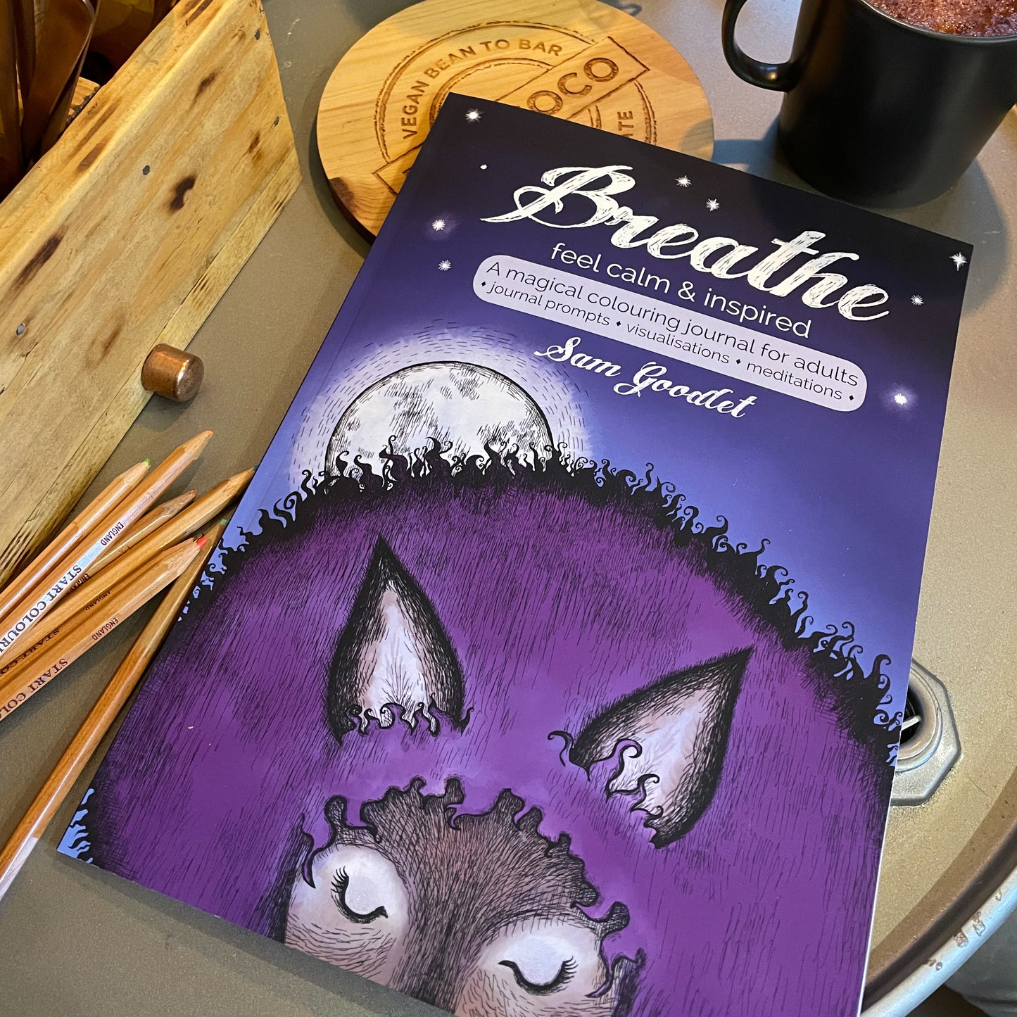 A Selkie's Book Bundle (with Selkie journal options)