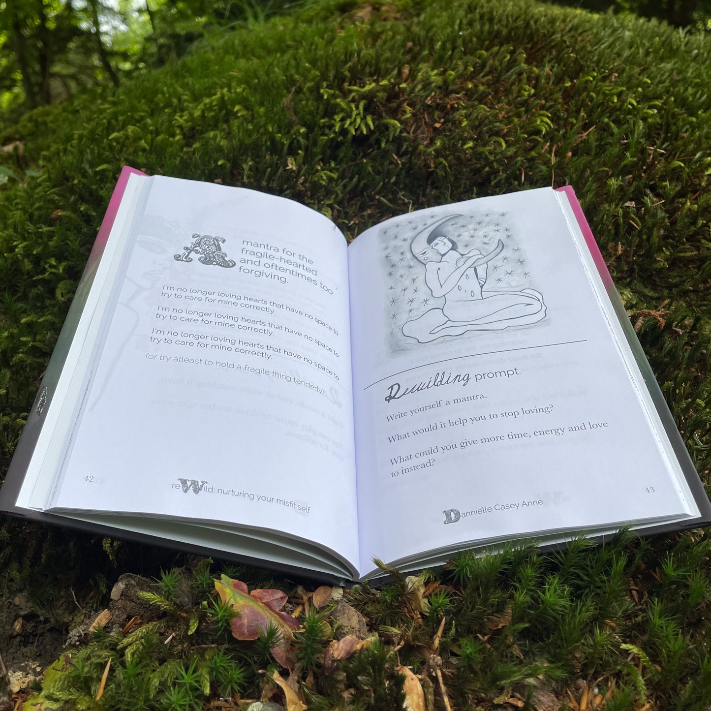 A peek inside ReWild y Dannielle Casey Anne