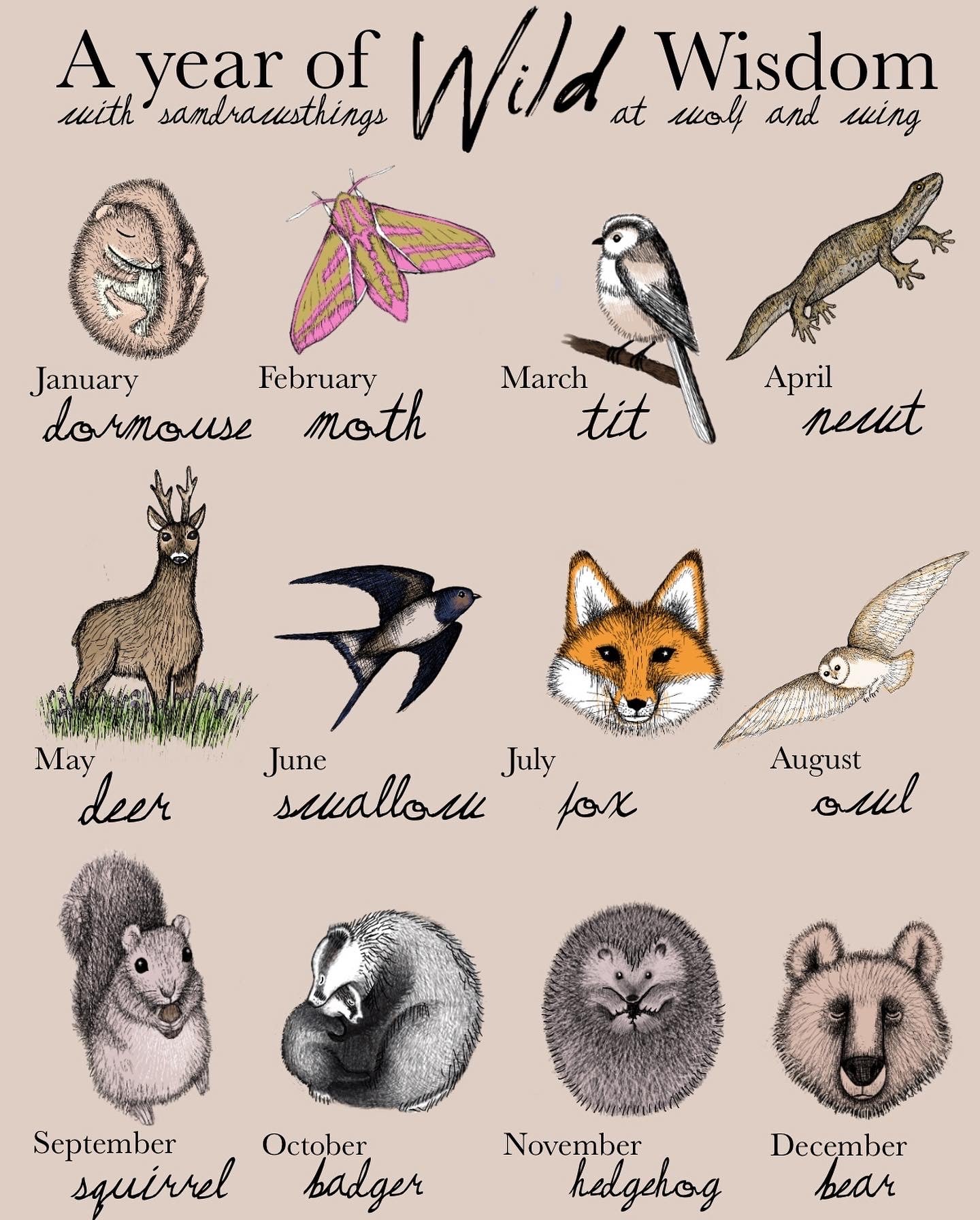 A Year of Wild Wisdom: natural magic for each moon of the year