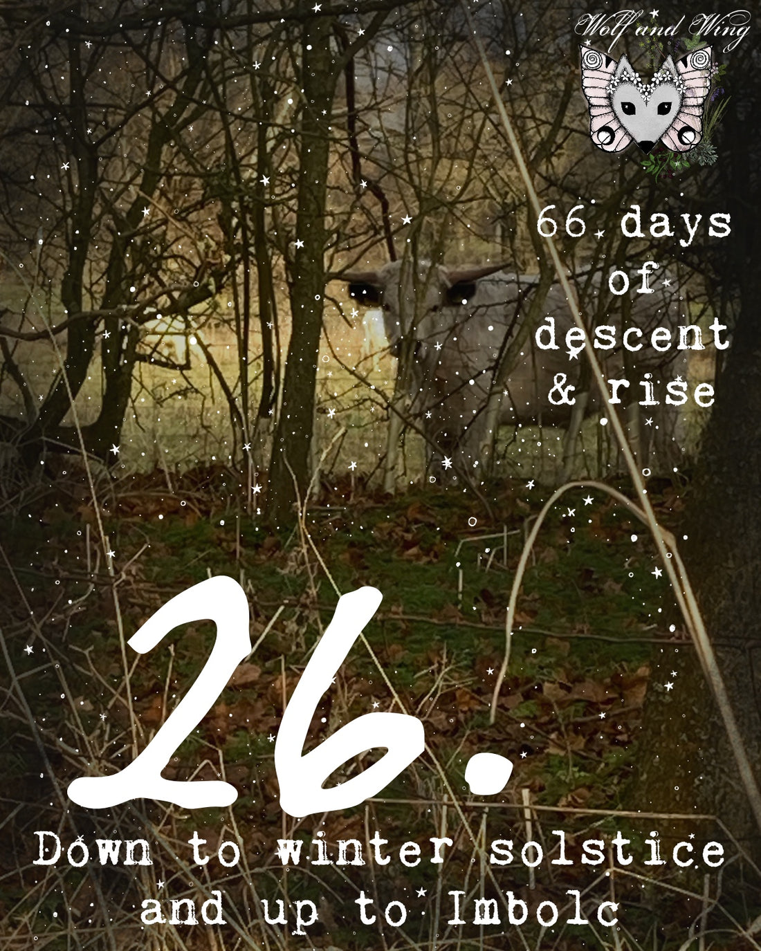 Day 26. Ascent to Imbolc. Choice as an art form