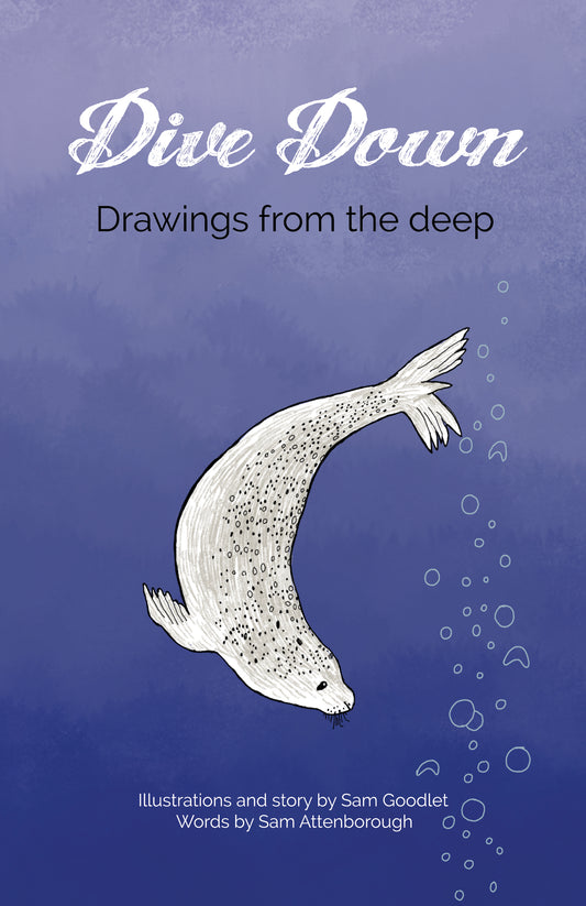 Dive Down: Drawings from the Deep a fairy tale eBook by Sam