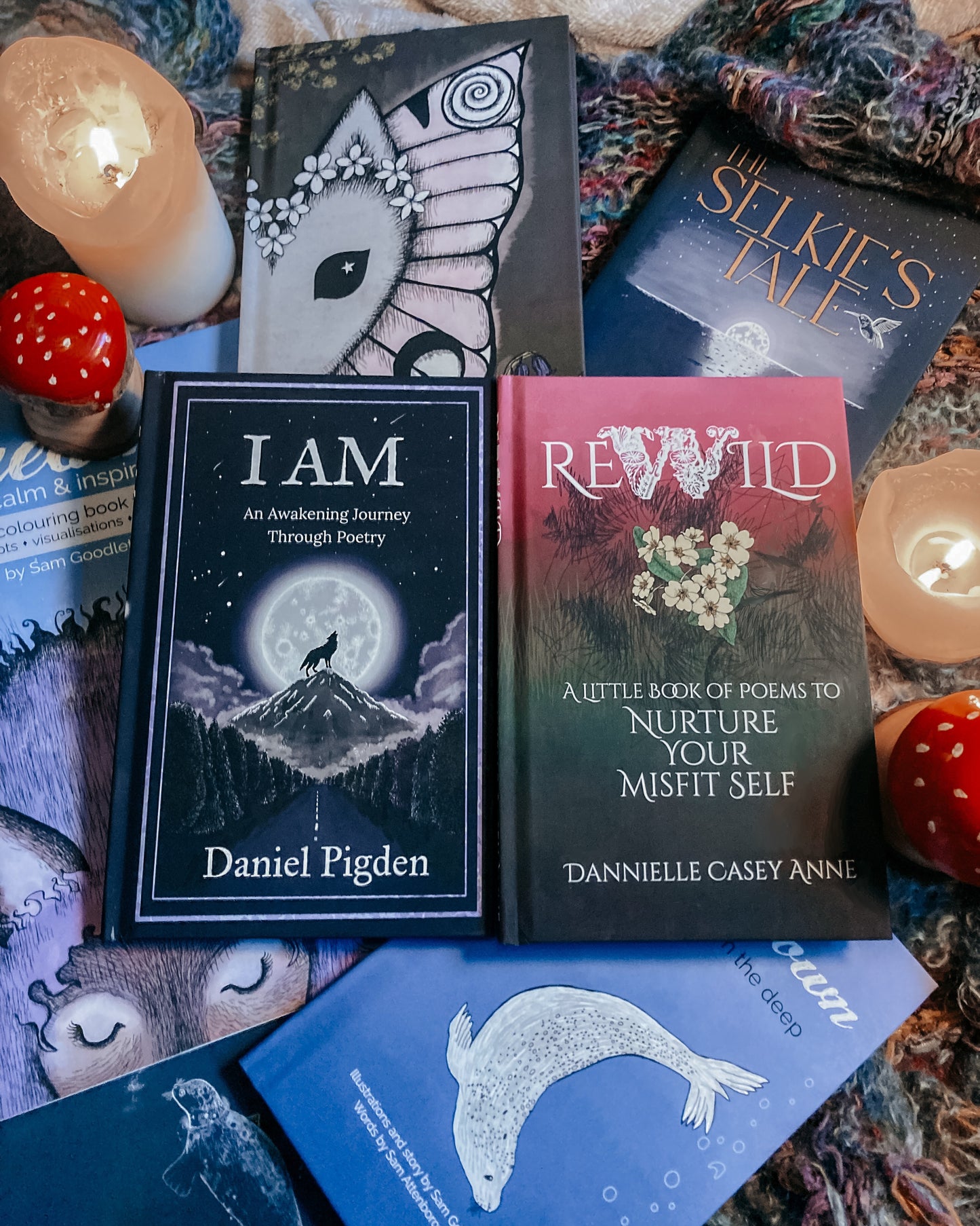 I AM and REWILD poetry book bundle
