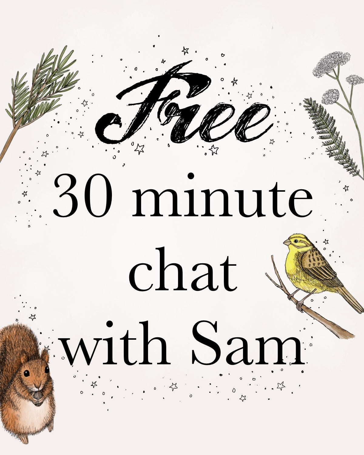 Free 30 minute chat