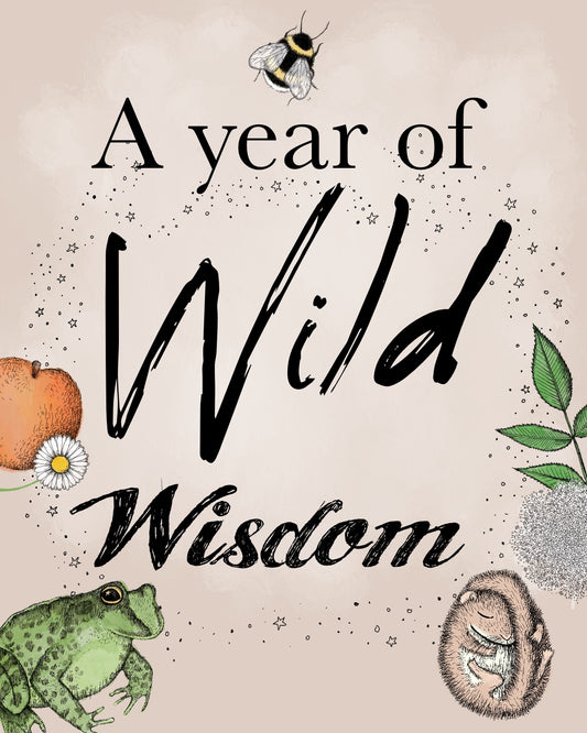 A magical illustration by green witch Sam Goodlet for a year of wild wisdom 